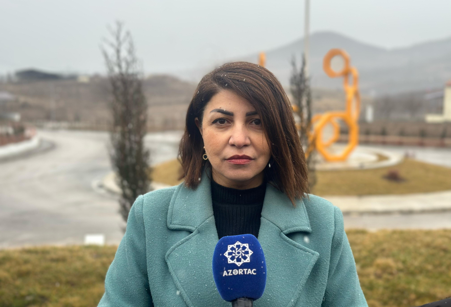 media-afet