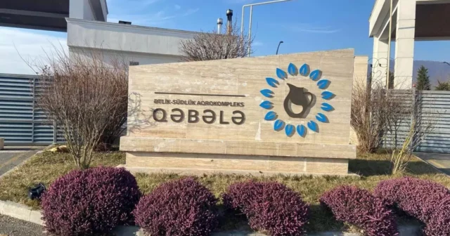 media-qeb