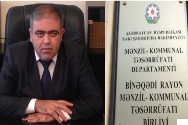 Biləcəridə ağacların gizli kəsilməsinə Elmin Zamanov rəhbərlik edir?-