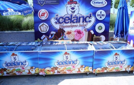 media-ice