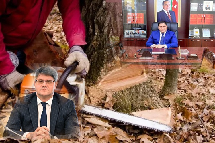 Rəşad İsmayılov nazir təyin edildikdən sonra Qafar Ağayev qanunsuz əməllərini davam etdirir?