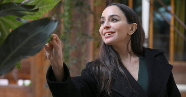 media-leyla