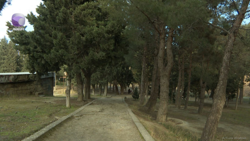 media-park