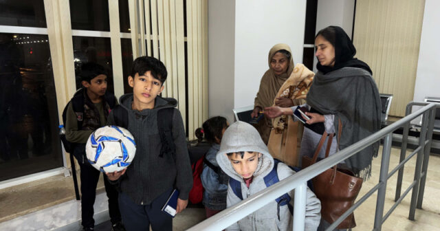 media-81