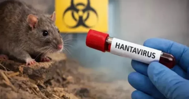 media-hant1
